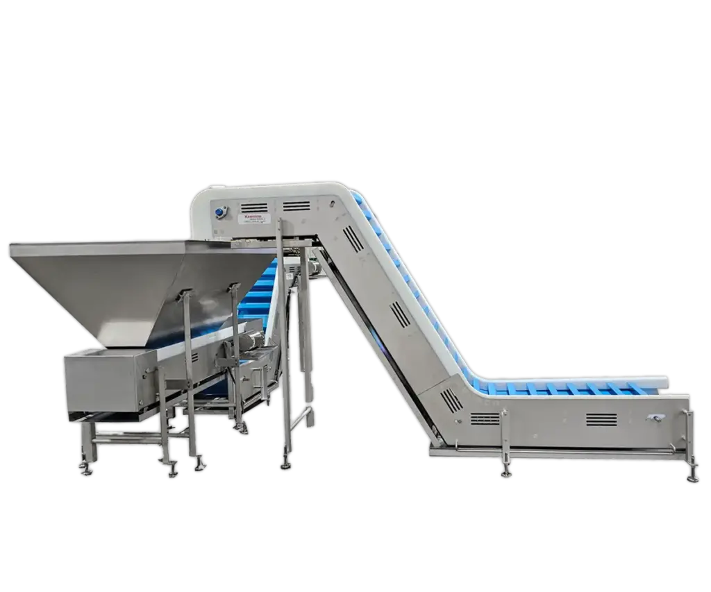 Sanitary Conveyor